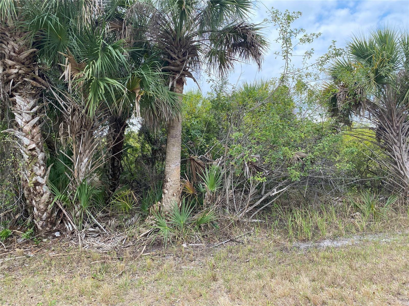 Land at 19225 SHERBROOKE AVE, PORT CHARLOTTE