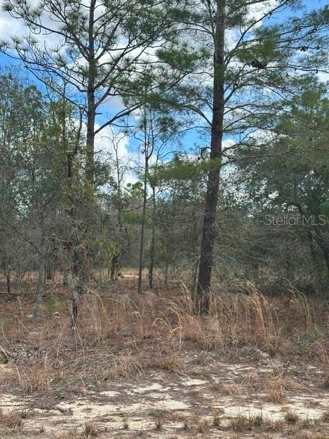 Land at RAINBOW PARK UN 3, OCALA, photo 2 of 2