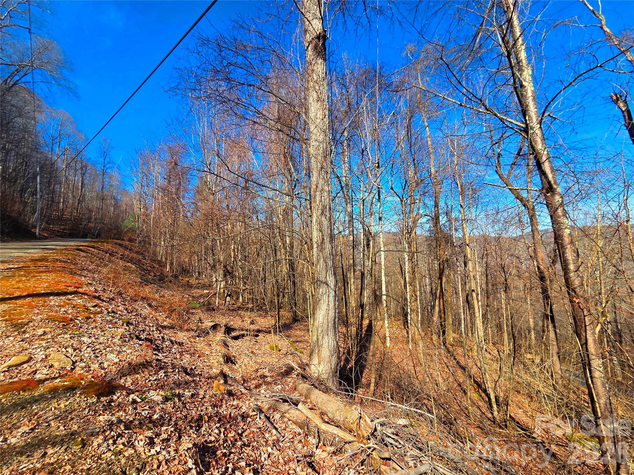 Lot at 160 Slippery Rock Road, Waynesville, photo 6 of 18