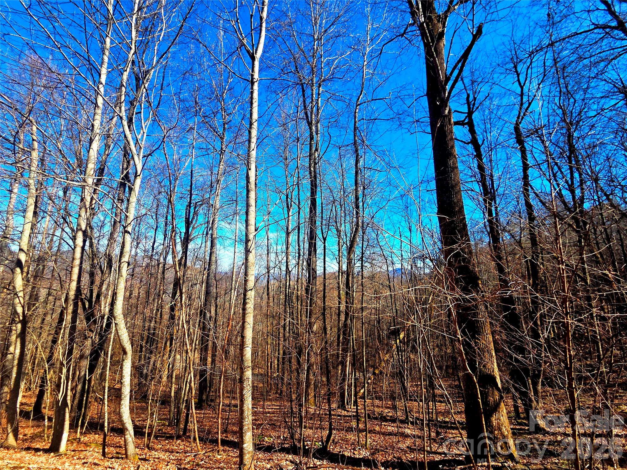 Lot at 160 Slippery Rock Road, Waynesville, photo 4 of 18