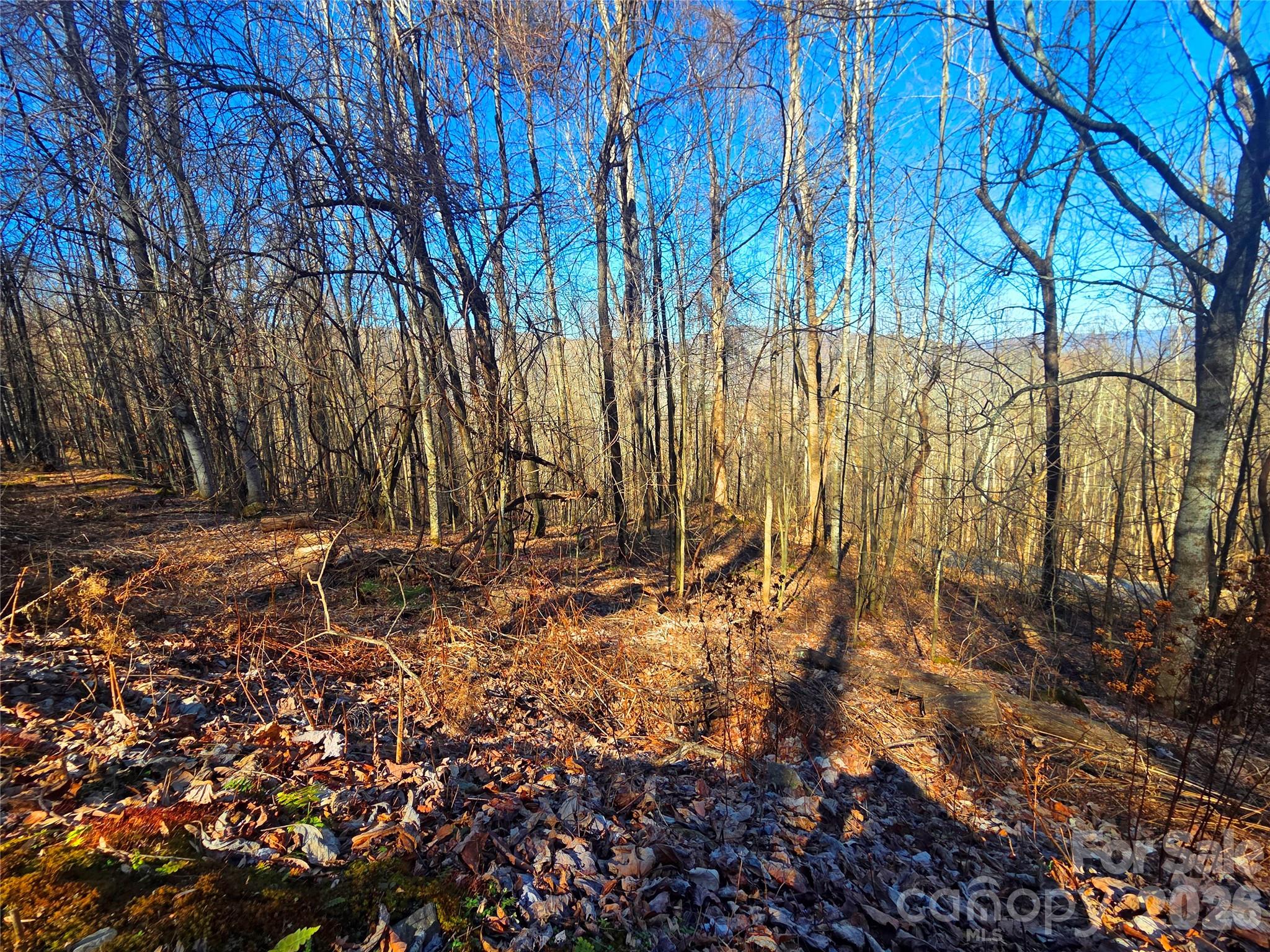 Lot at 160 Slippery Rock Road, Waynesville, photo 8 of 18