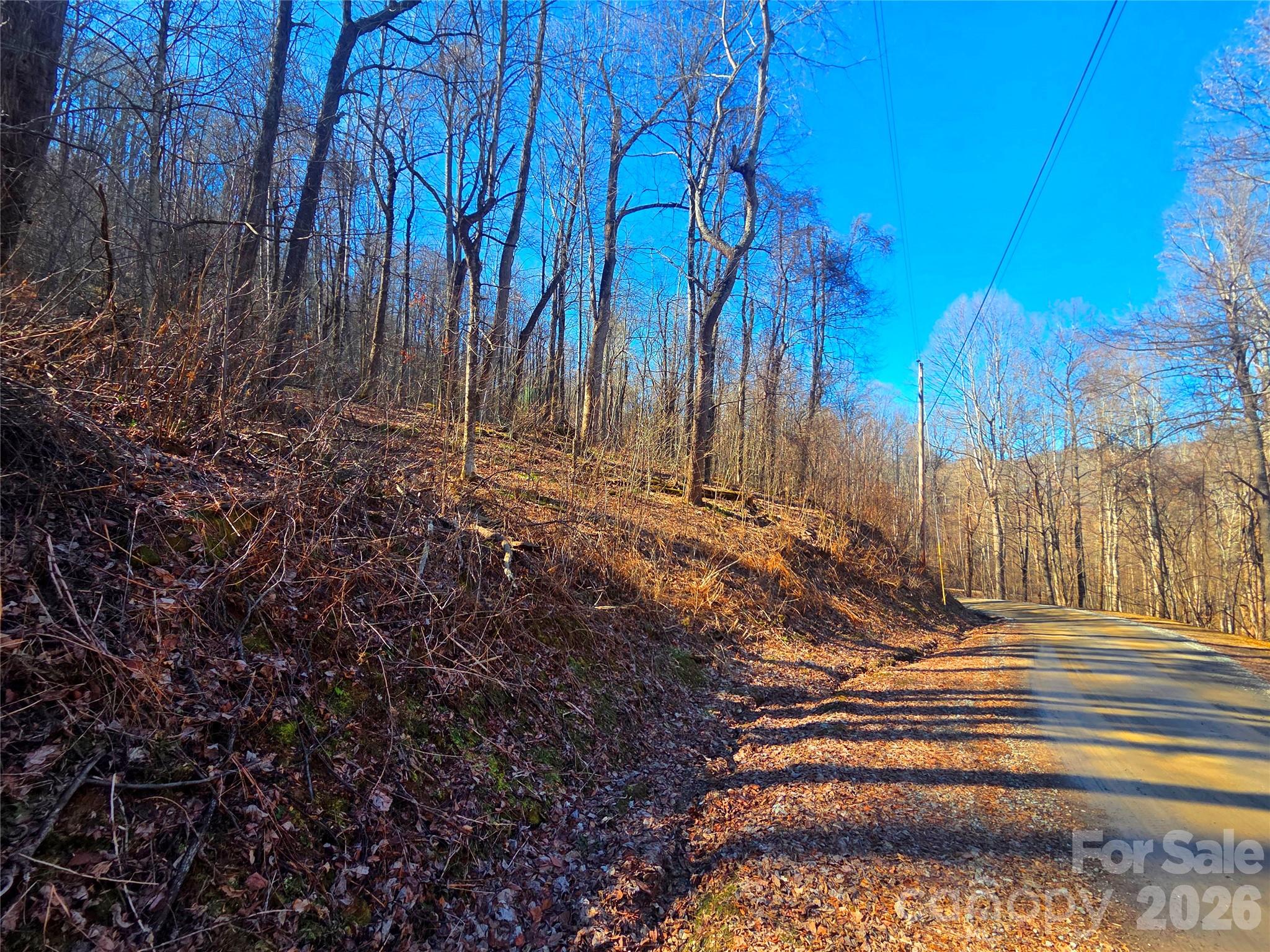 Lot at 160 Slippery Rock Road, Waynesville, photo 2 of 18