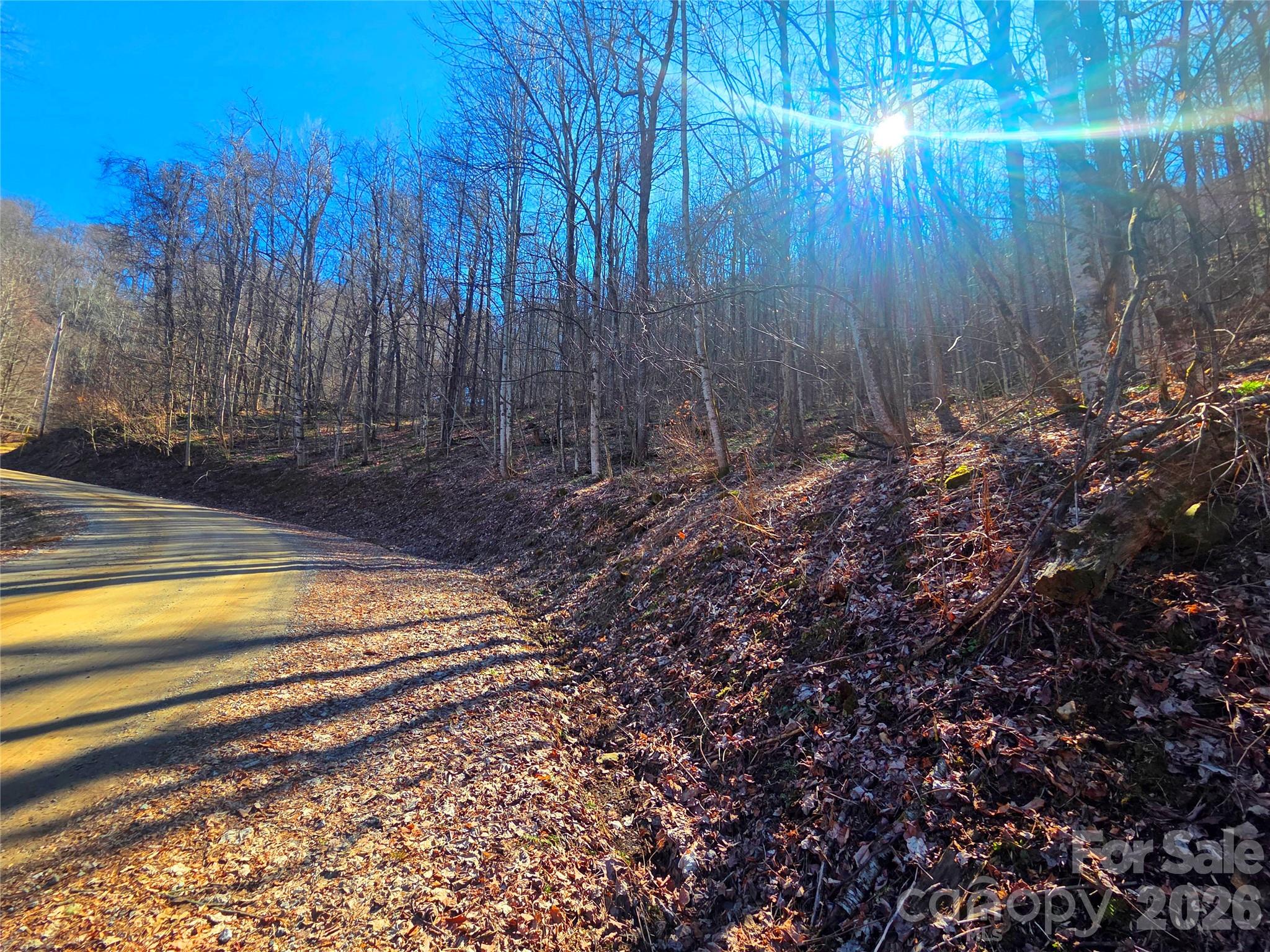 Lot at 160 Slippery Rock Road, Waynesville, photo 10 of 18