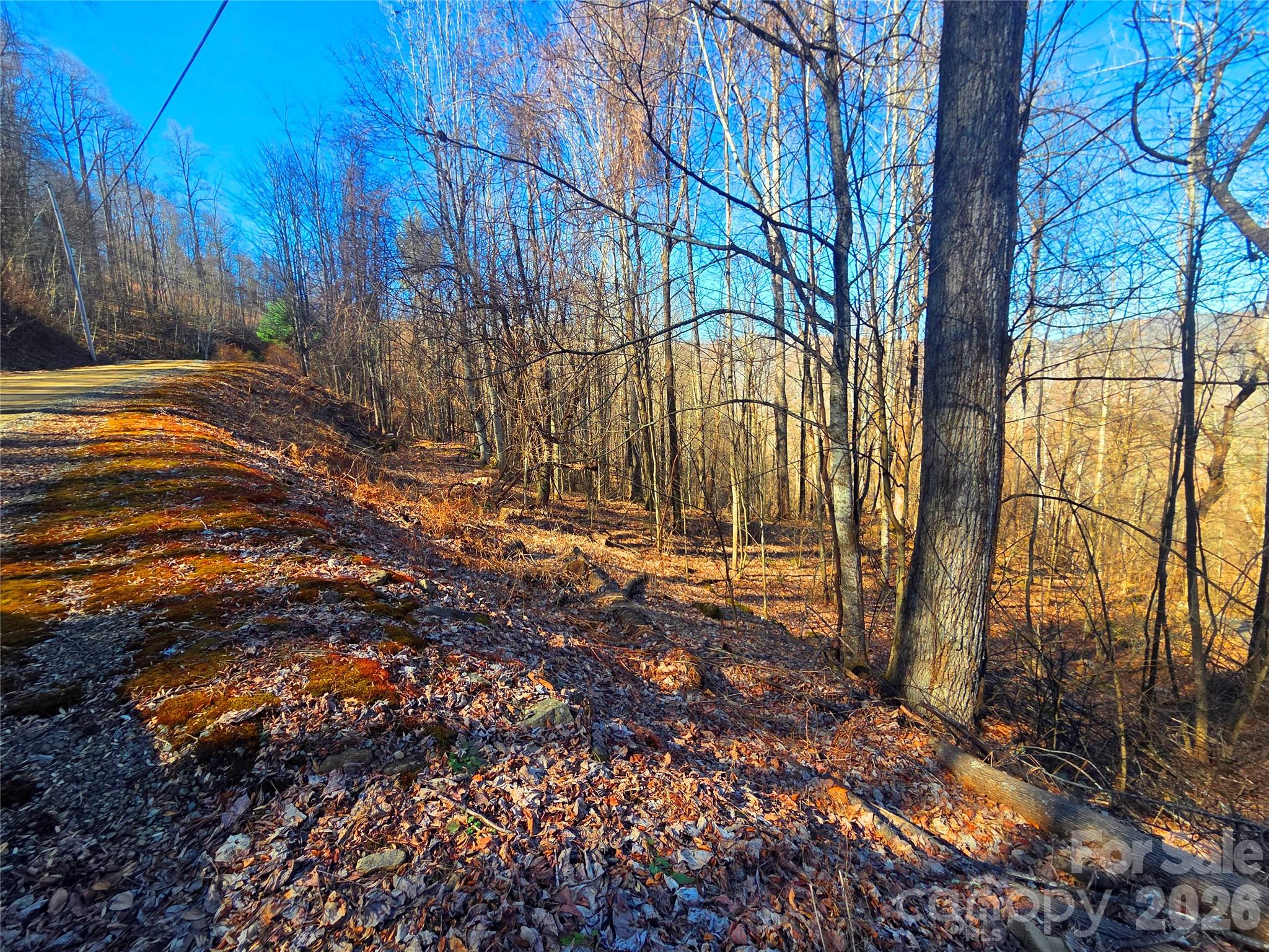 Lot at 160 Slippery Rock Road, Waynesville, photo 11 of 18