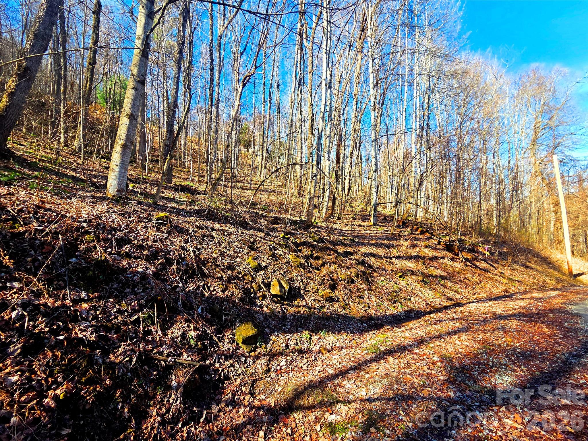 Lot at 160 Slippery Rock Road, Waynesville, photo 12 of 18