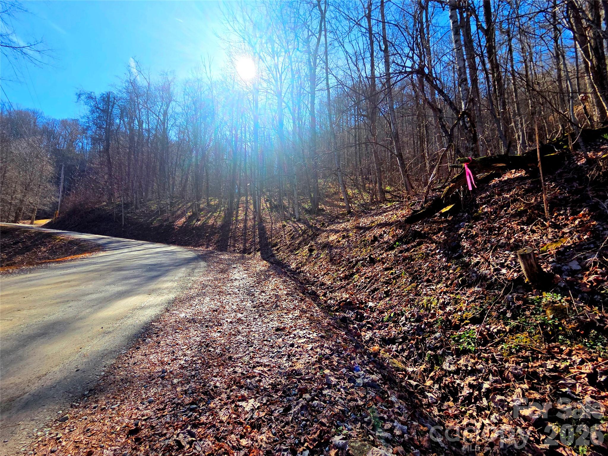 Lot at 160 Slippery Rock Road, Waynesville, photo 14 of 18