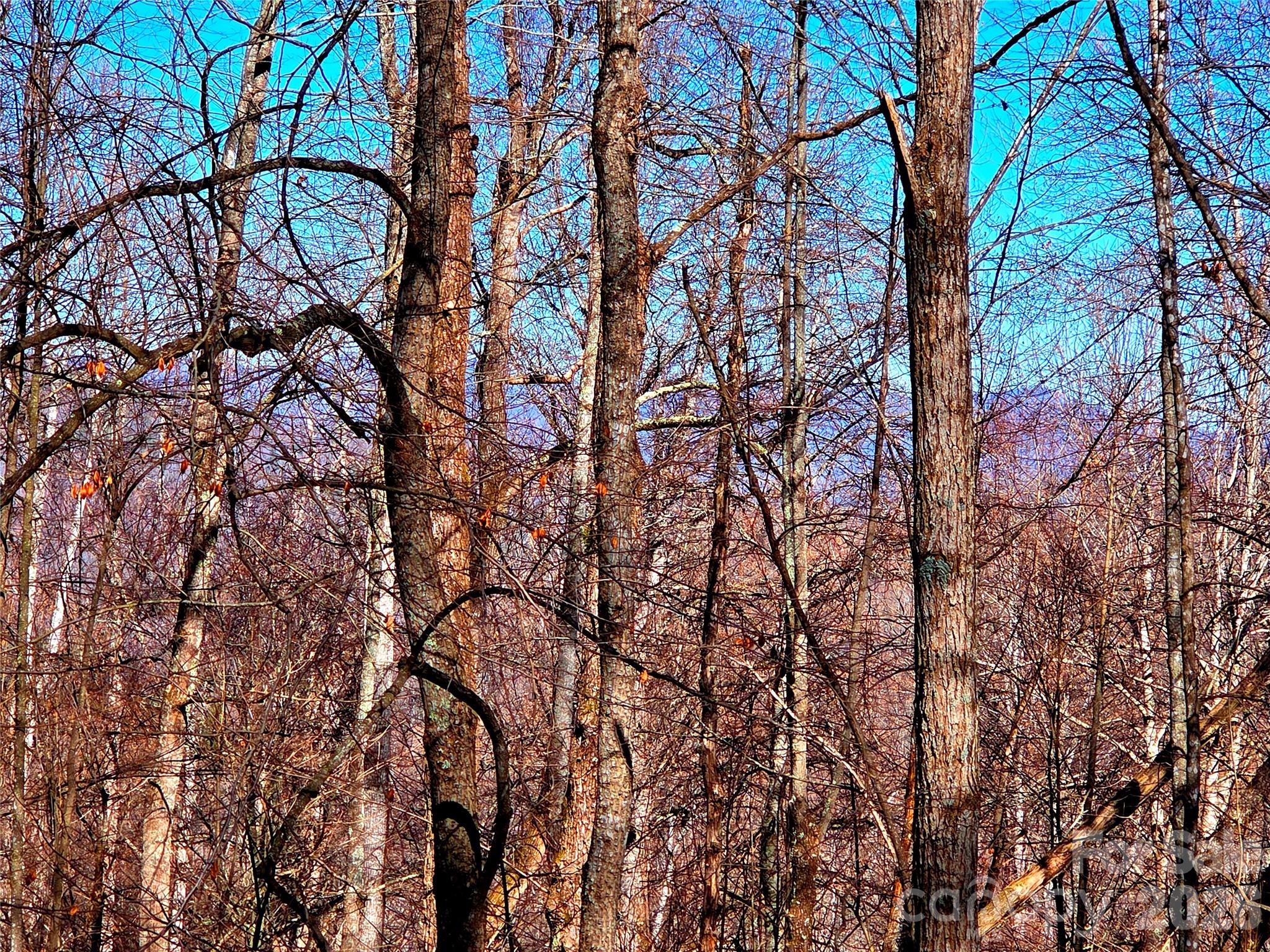 Lot at 160 Slippery Rock Road, Waynesville, photo 15 of 18