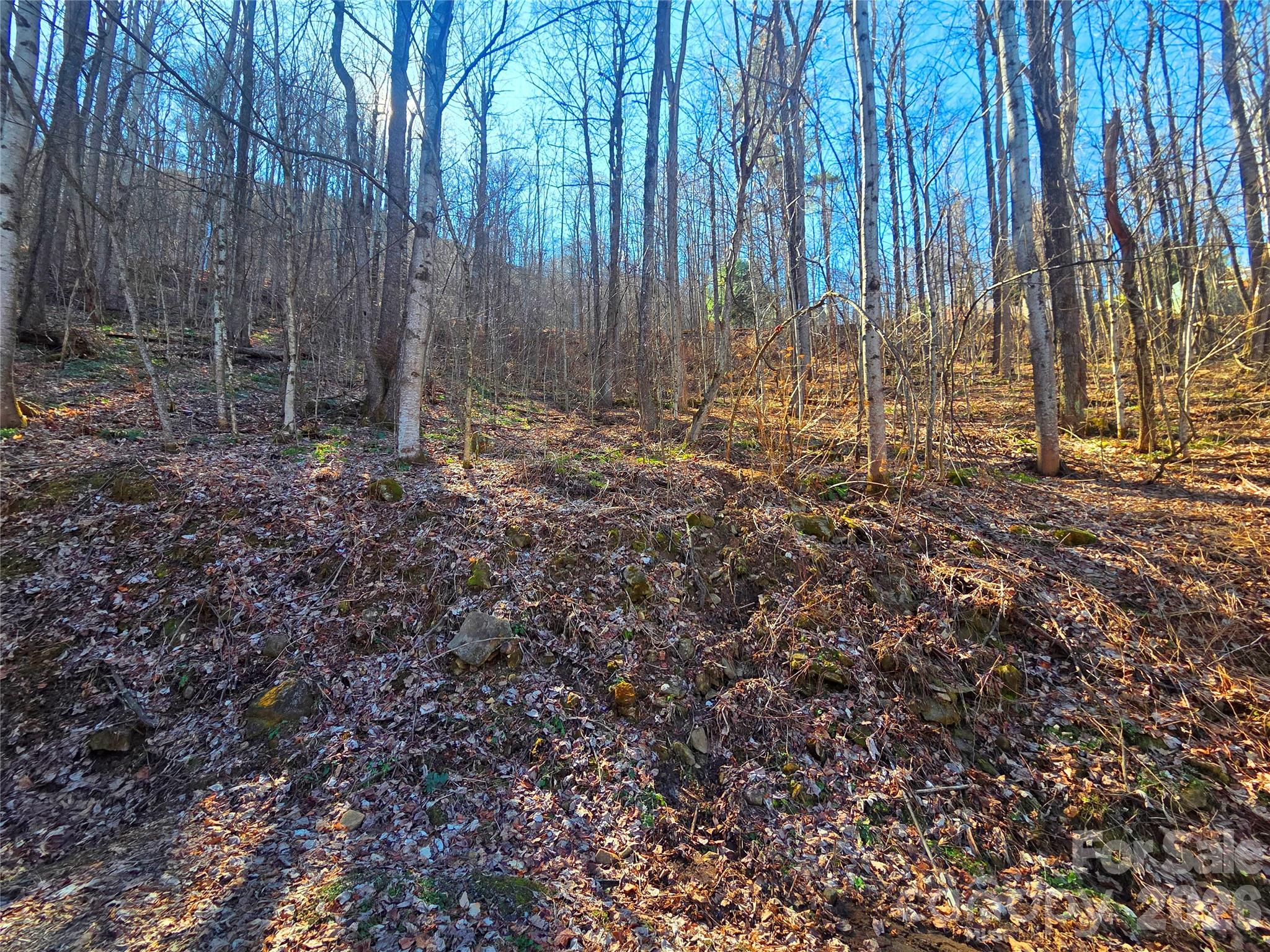 Lot at 160 Slippery Rock Road, Waynesville, photo 16 of 18