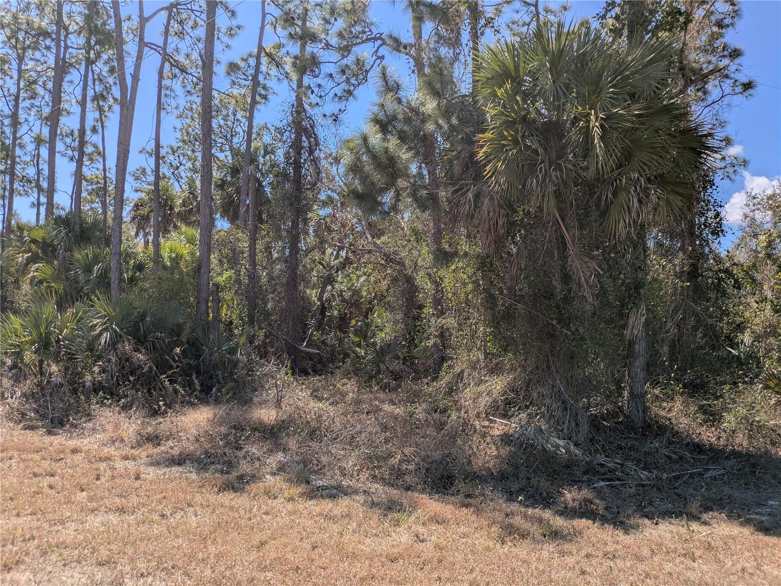 Land at BANNOCK CIR, NORTH PORT, photo 2 of 7