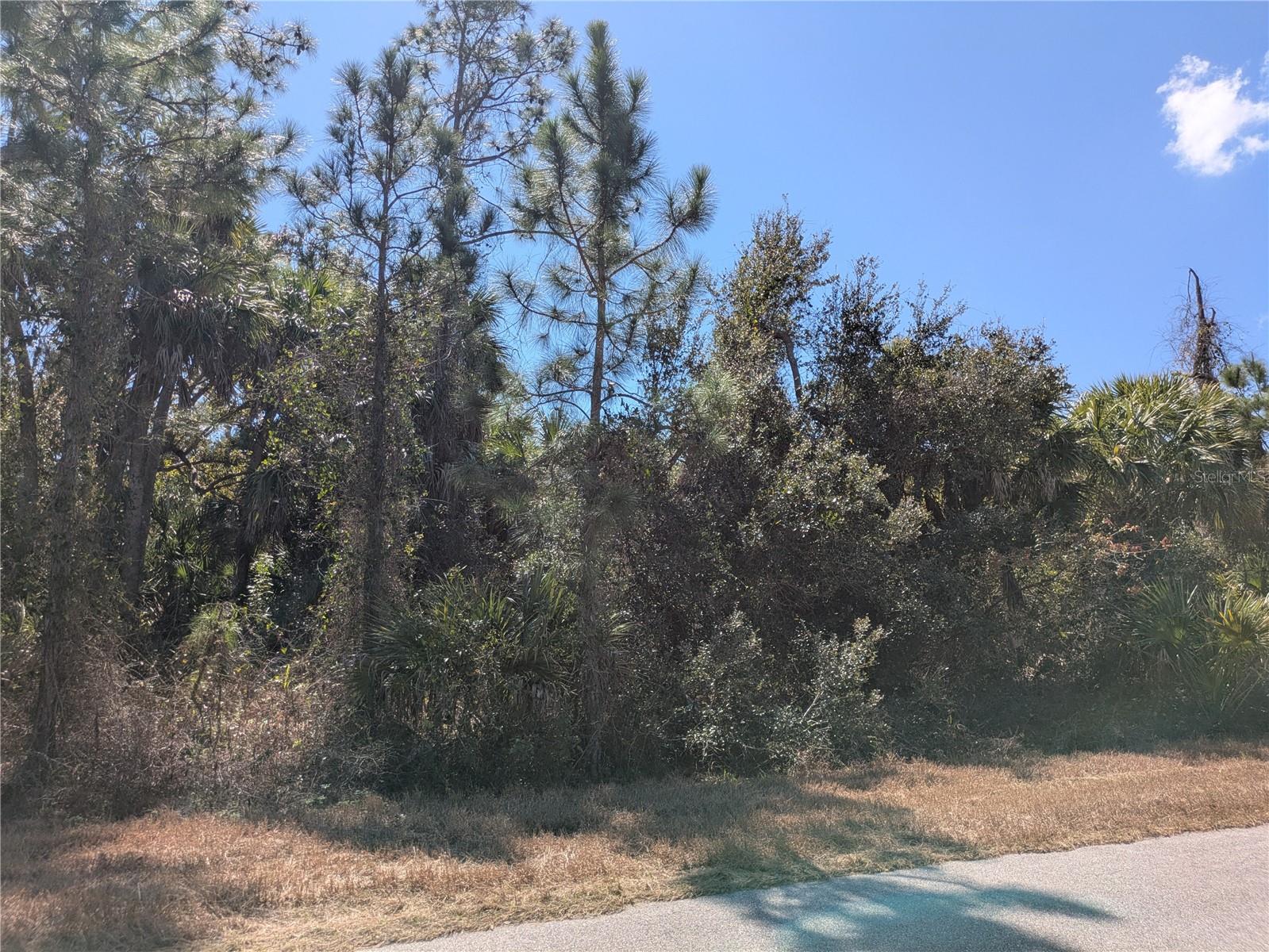 Land at BANNOCK CIR, NORTH PORT, photo 4 of 7
