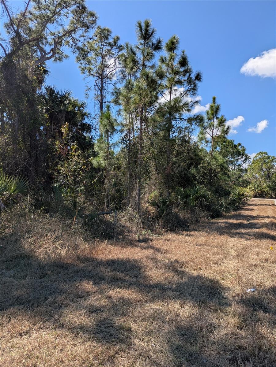 Land at BANNOCK CIR, NORTH PORT, photo 7 of 7