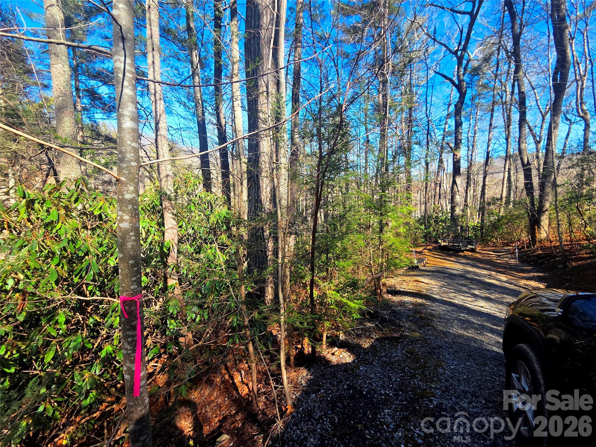 Lot at 230 Serendipity Lane, Waynesville, photo 11 of 17