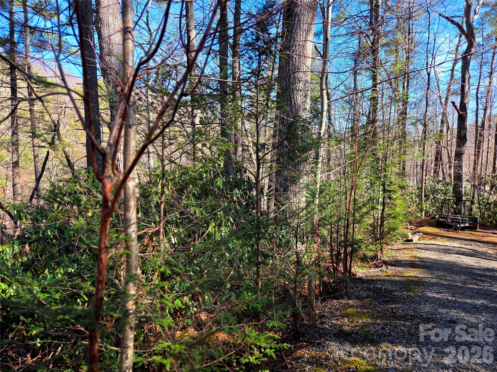 Lot at 230 Serendipity Lane, Waynesville, photo 14 of 17