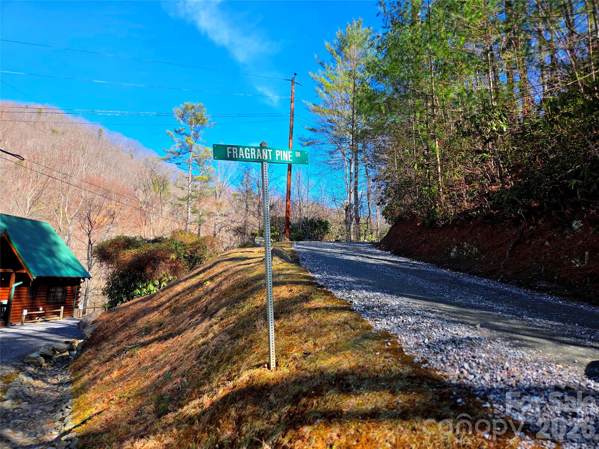 Lot at 230 Serendipity Lane, Waynesville, photo 16 of 17