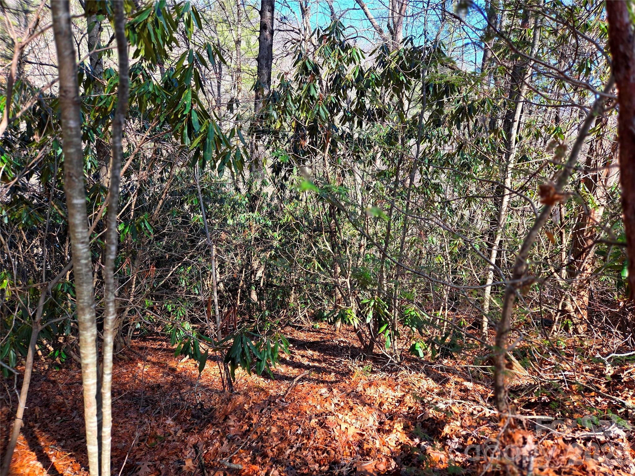 Lot at 230 Serendipity Lane, Waynesville, photo 17 of 17