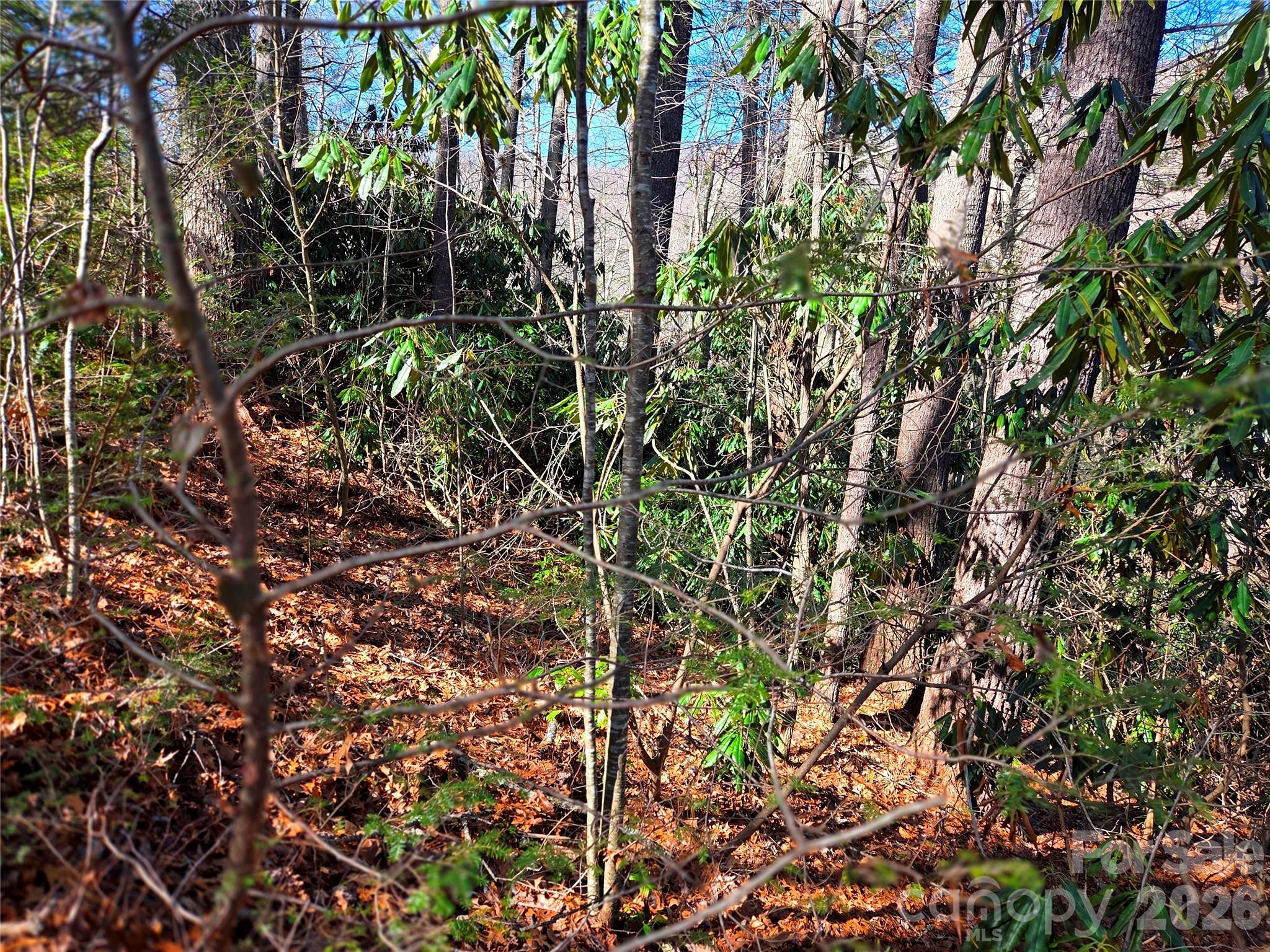 Lot at 230 Serendipity Lane, Waynesville, photo 12 of 17