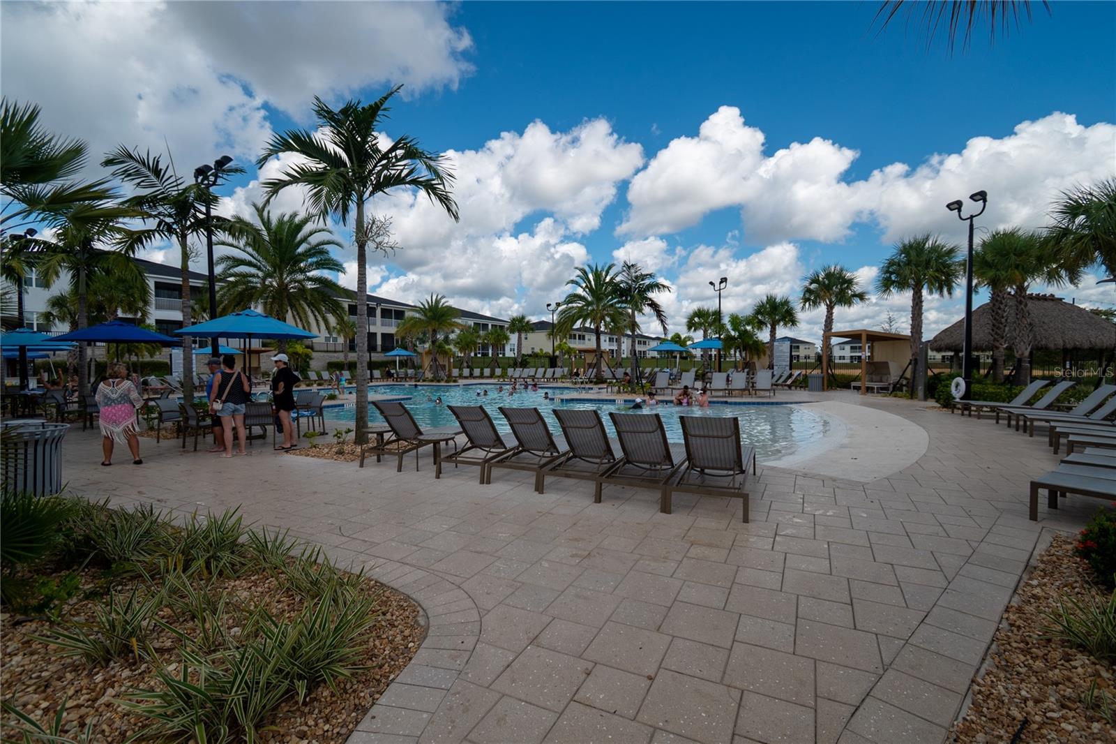 The Island pool has a beach entry - 1301 GLENEAGLES LN, DAVENPORT
