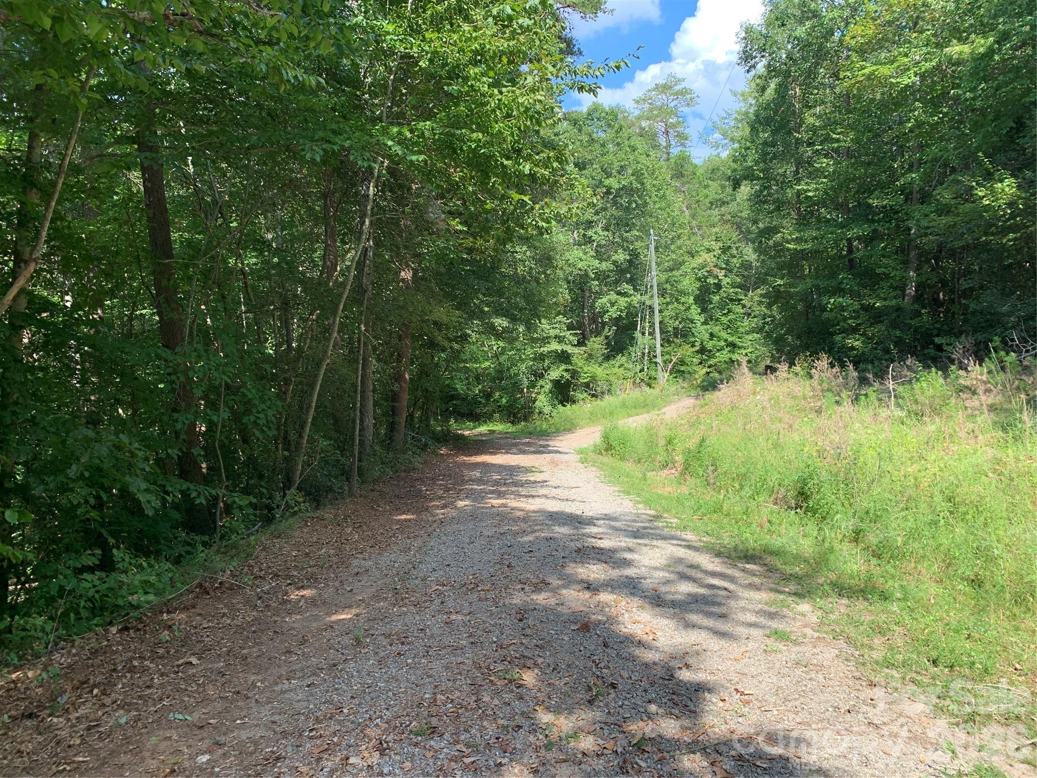 Private drive on property toward lake/beach and secondary road - 1800 Hilferty Road, Hickory