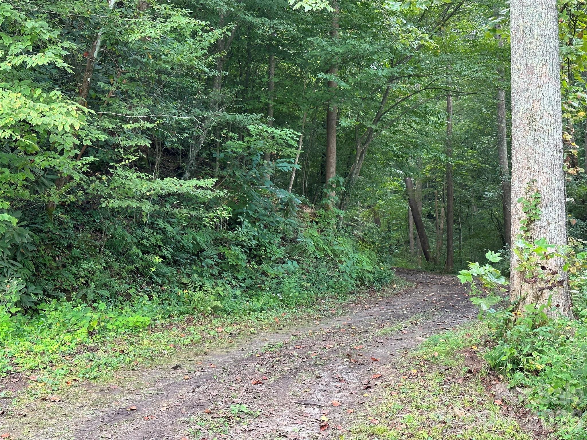 Private road from lake/beach area toward the south - 1800 Hilferty Road, Hickory