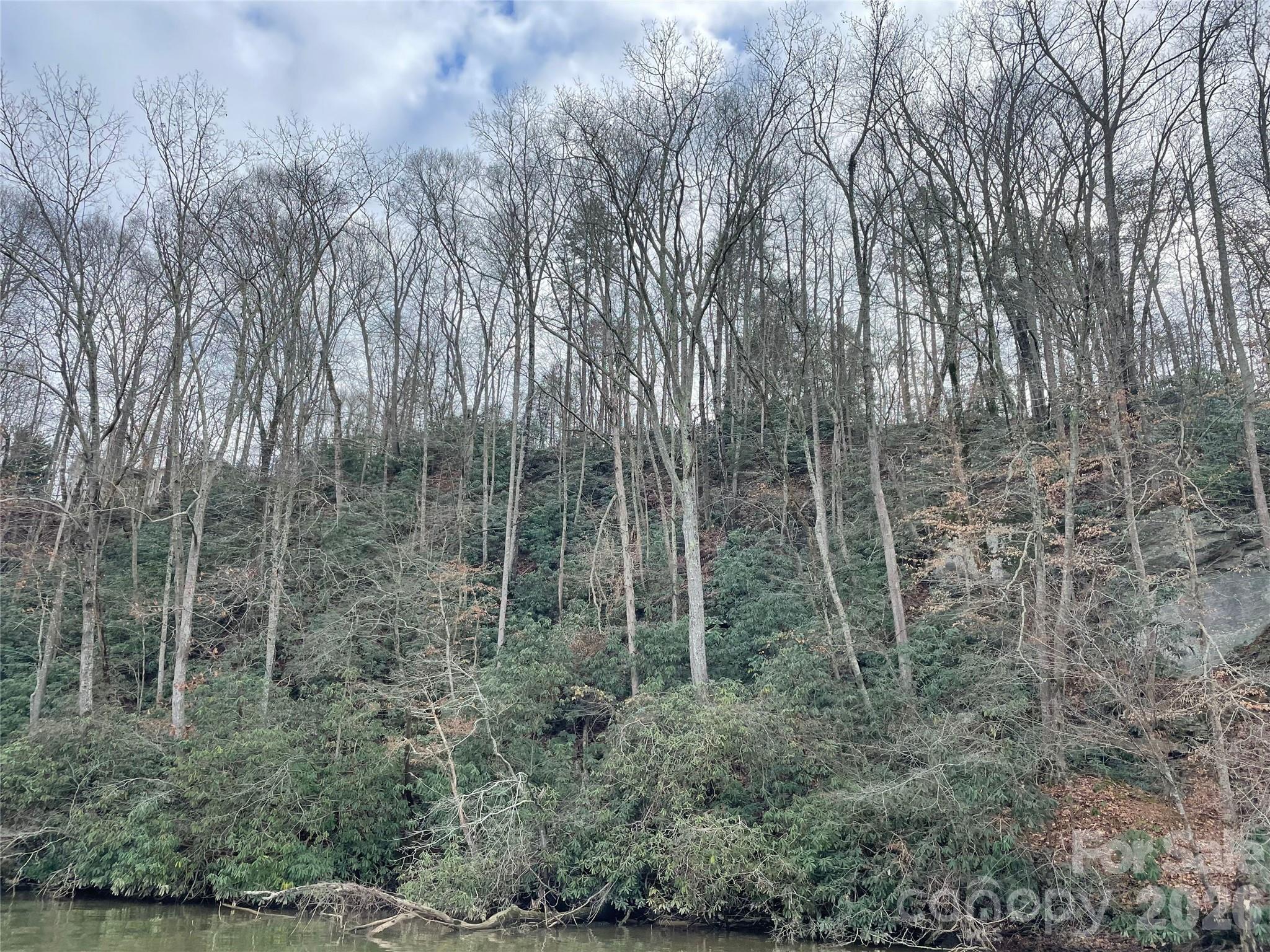 View from Lake Hickory - 1800 Hilferty Road, Hickory