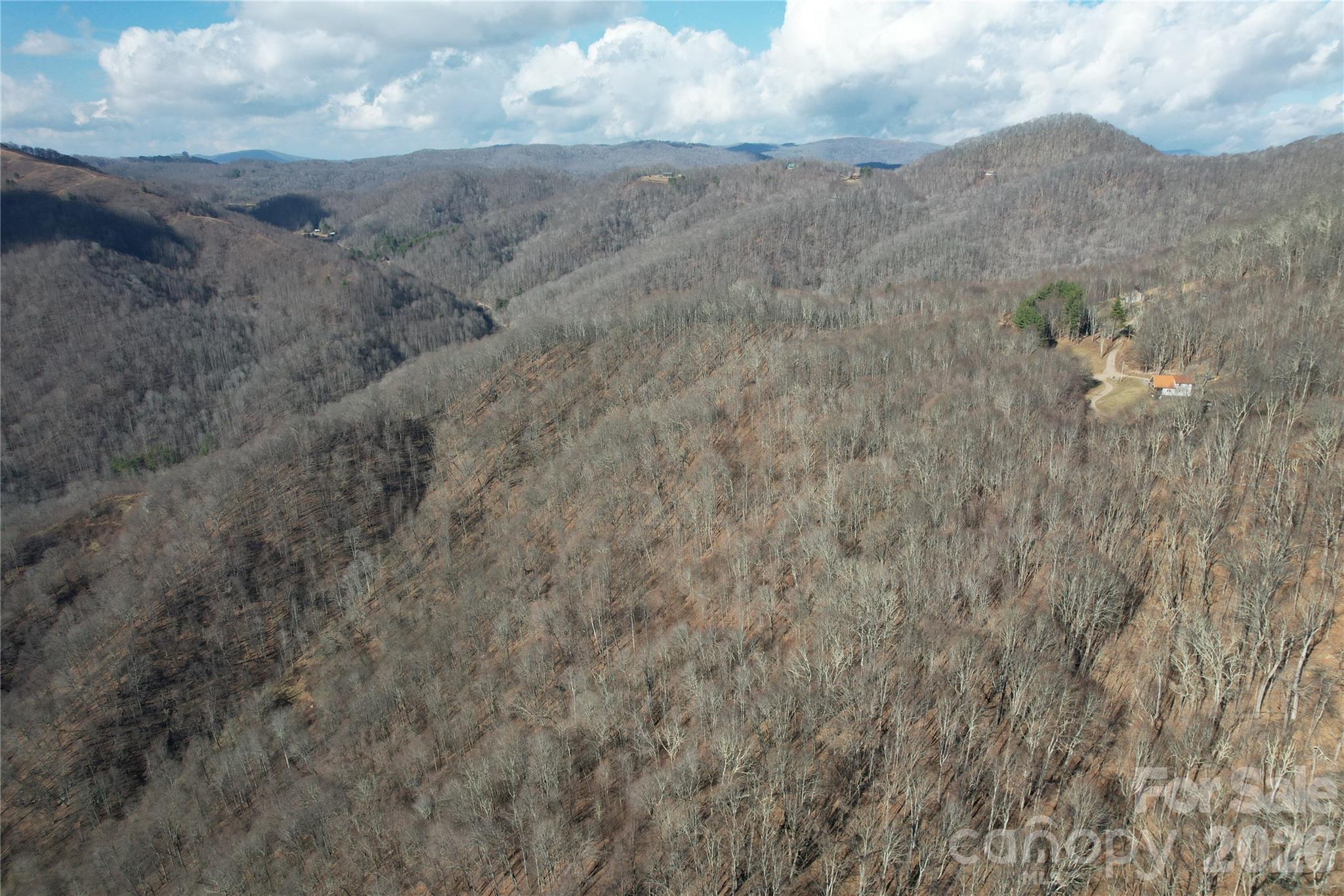 Acreage at 00 Mule Stomp Road, Clyde, photo 3 of 16