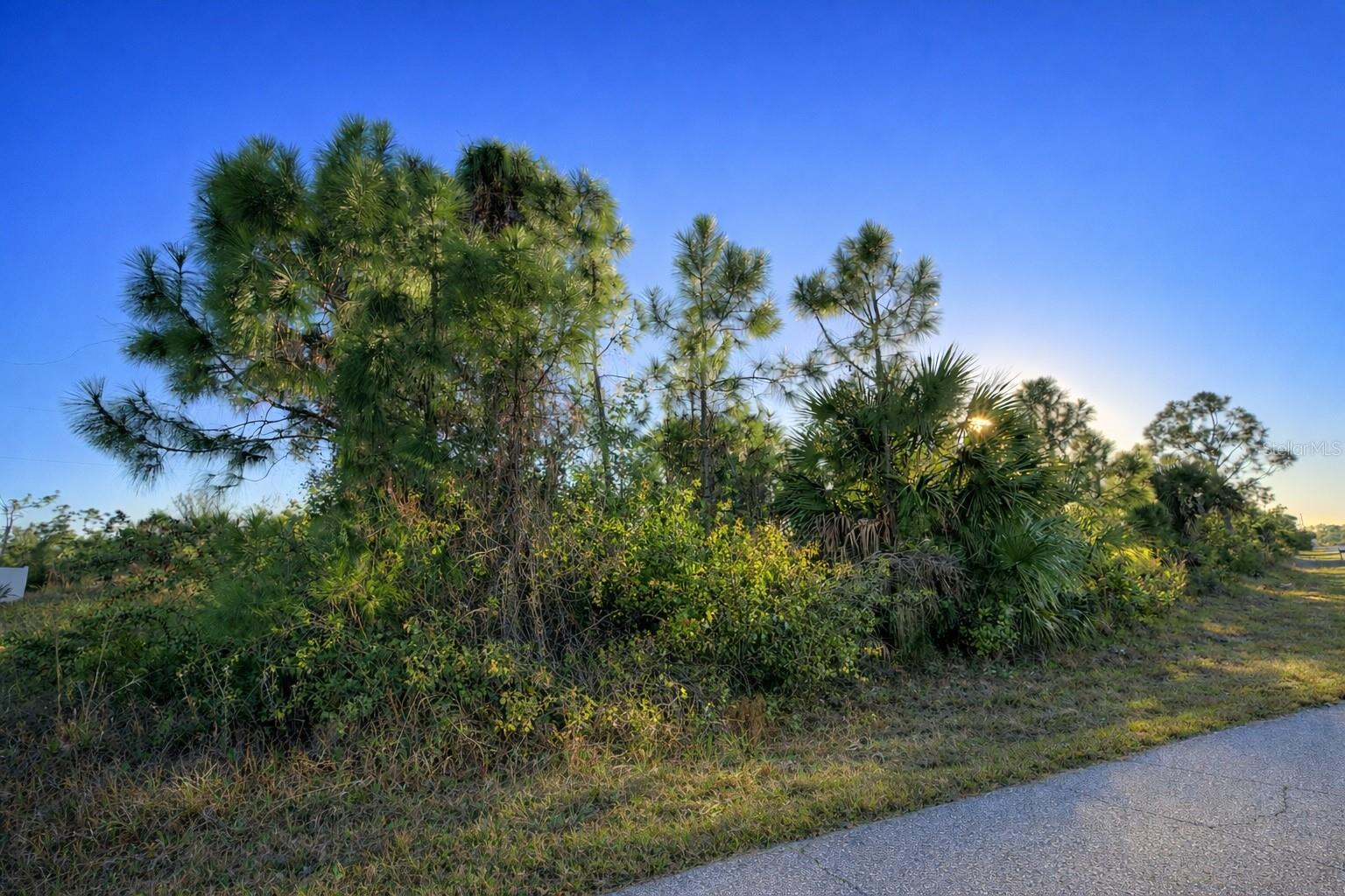Front of Lot - 12121 SNOW BIRD AVE, PORT CHARLOTTE