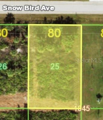 80 x 125 - 12121 SNOW BIRD AVE, PORT CHARLOTTE