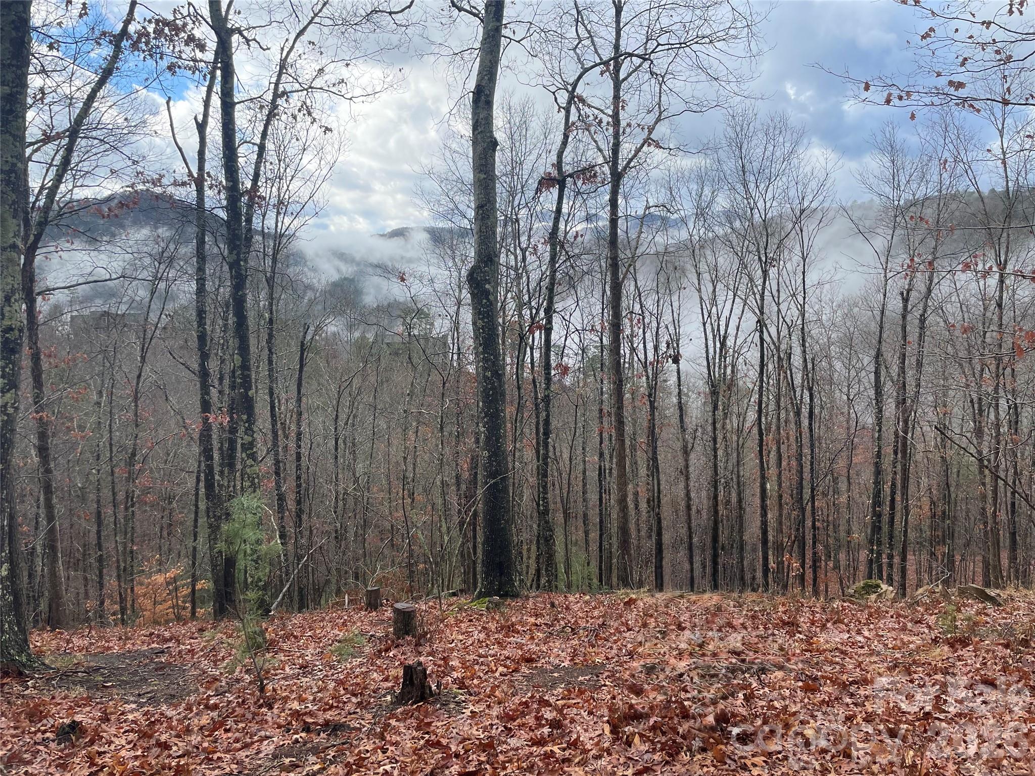 75 Wild Turkey Loop
