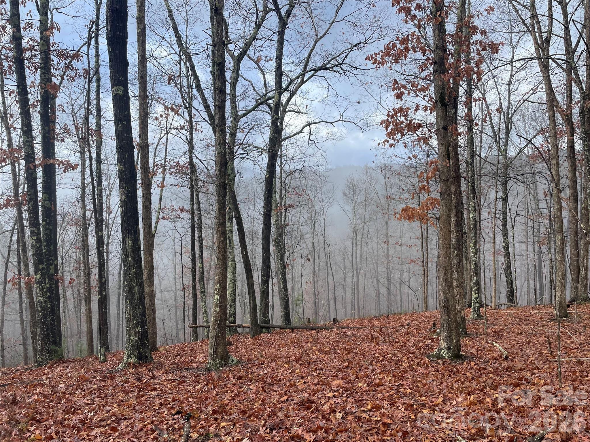 Lot at 75 Wild Turkey Loop, Marshall, photo 2 of 38