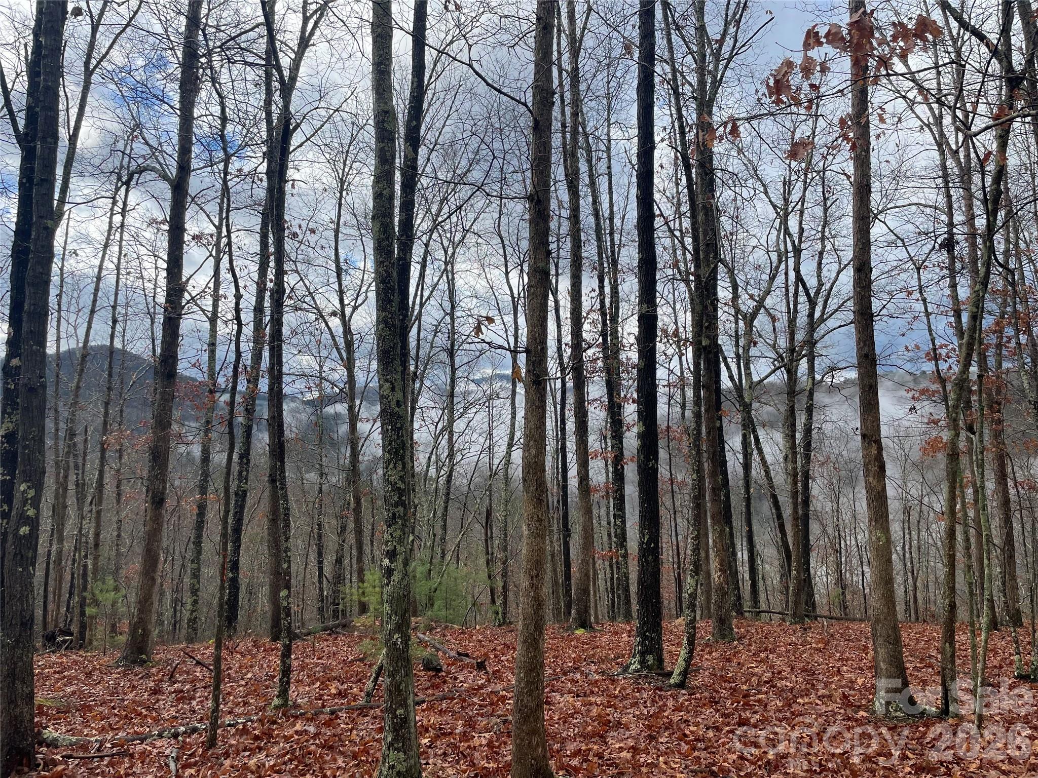 Lot at 75 Wild Turkey Loop, Marshall, photo 3 of 38