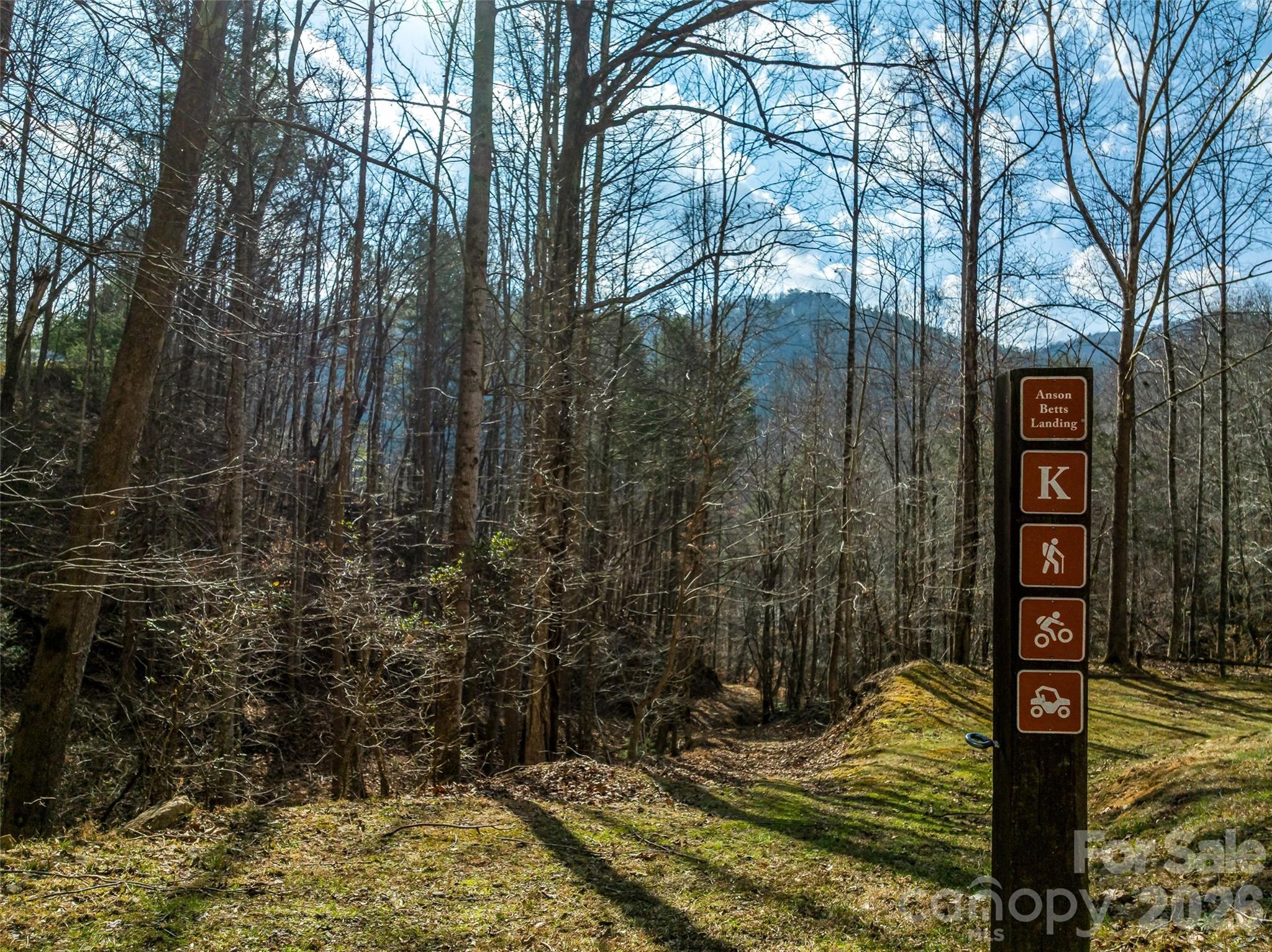 Trail for hiking and ATV use. - 75 Wild Turkey Loop, Marshall