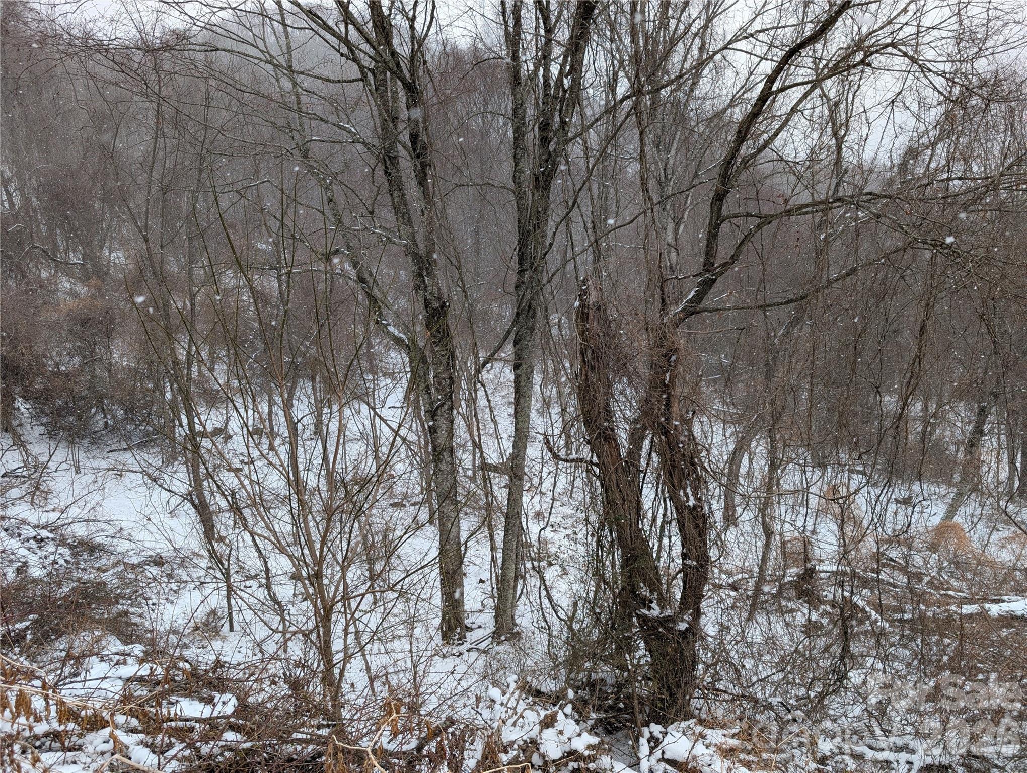 Acreage at 00 Bear Wallow Trail, Canton, photo 4 of 17