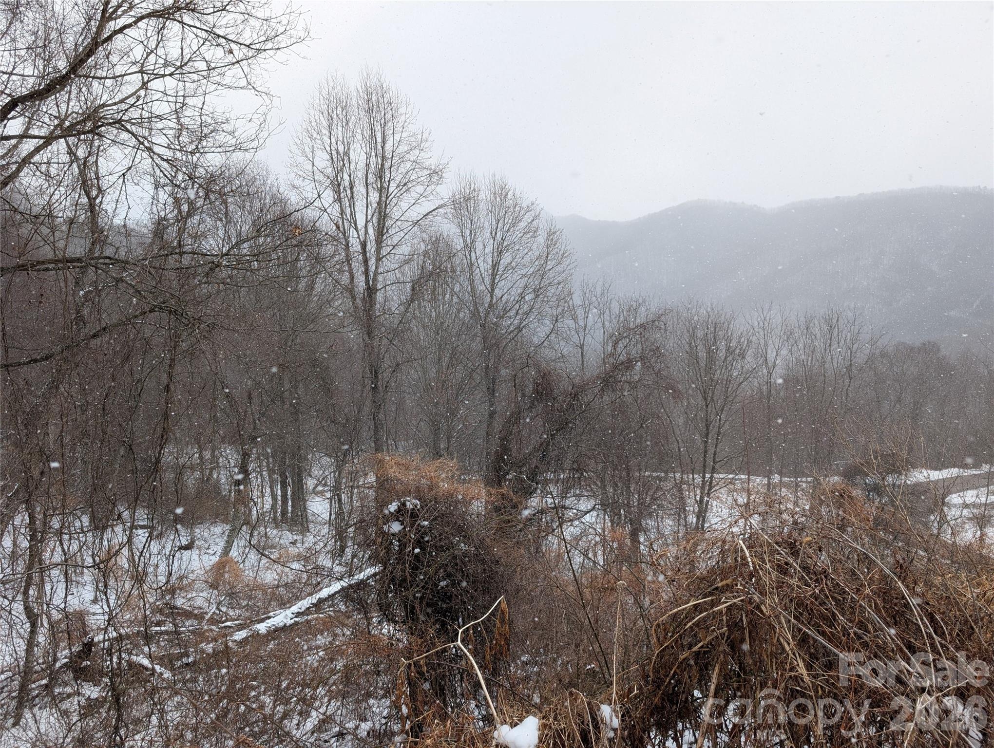 Acreage at 00 Bear Wallow Trail, Canton, photo 6 of 17