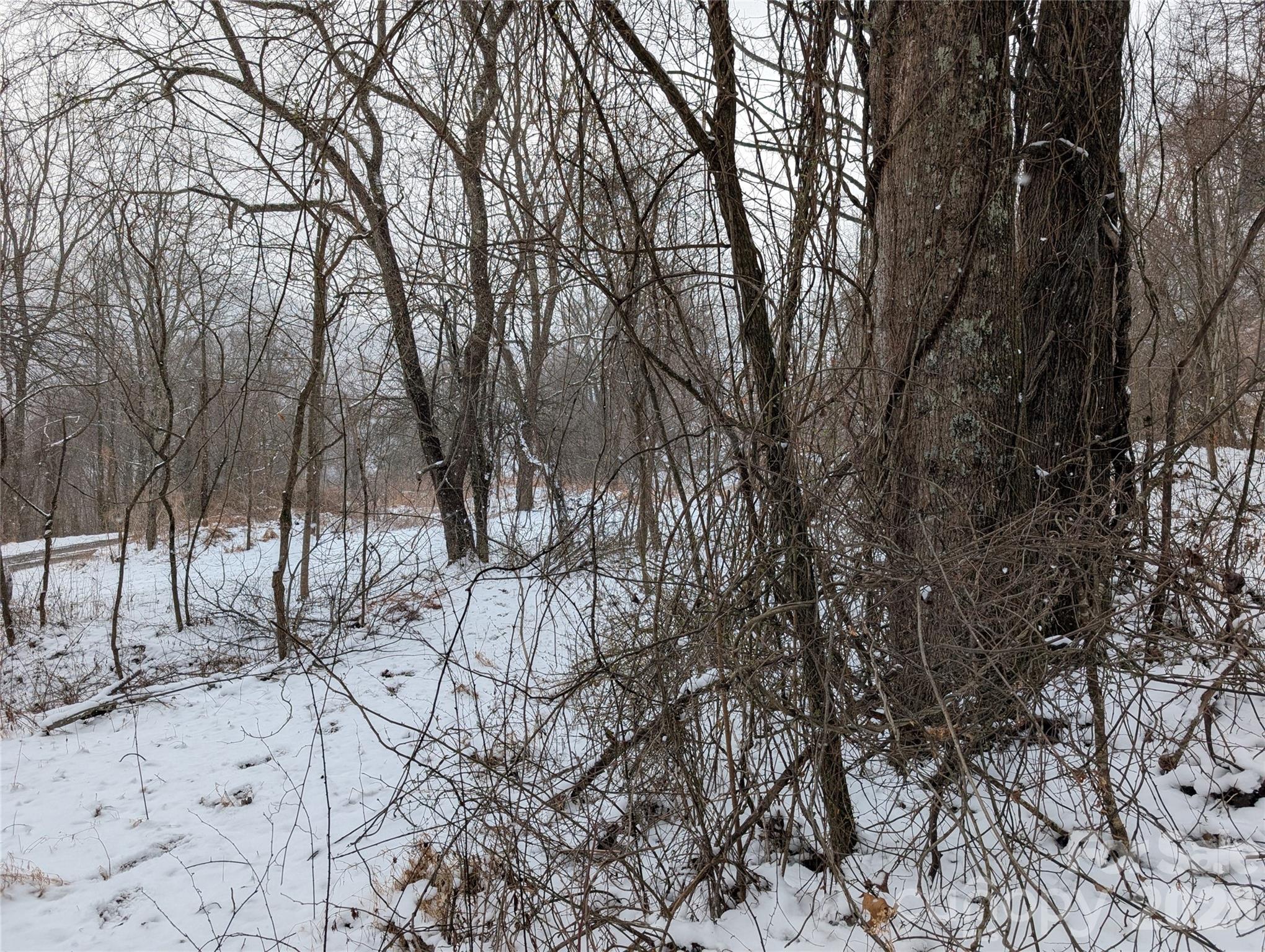 Acreage at 00 Bear Wallow Trail, Canton, photo 8 of 17