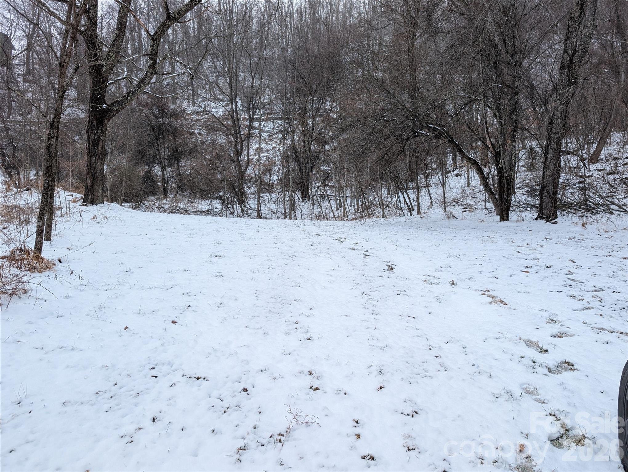 Acreage at 00 Bear Wallow Trail, Canton, photo 9 of 17