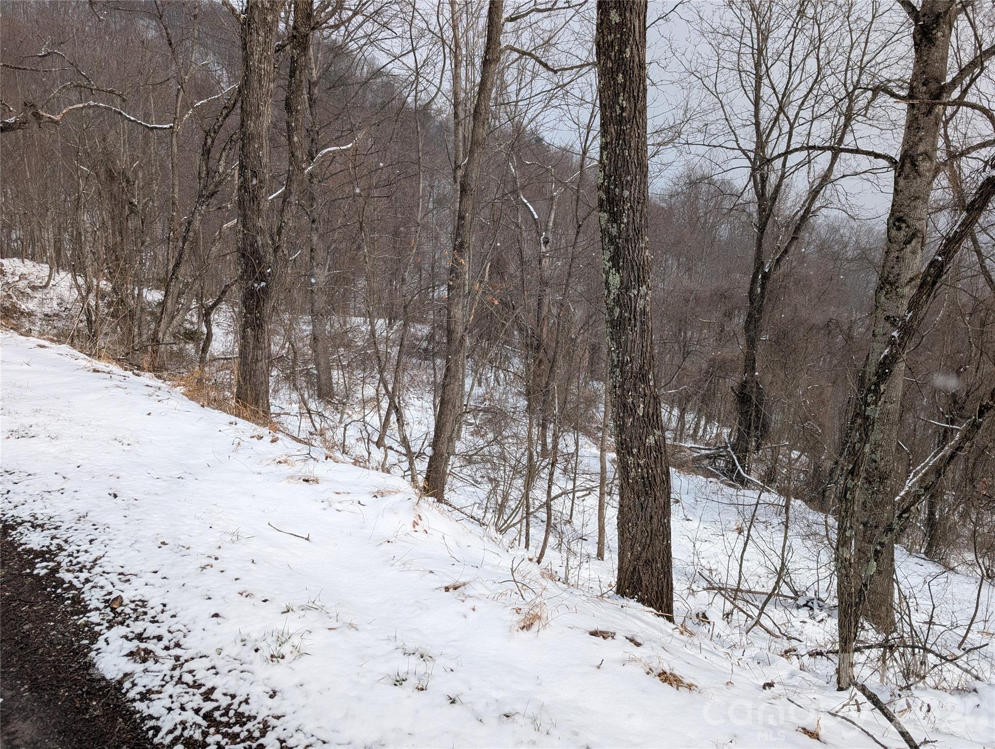 Acreage at 00 Bear Wallow Trail, Canton, photo 11 of 17