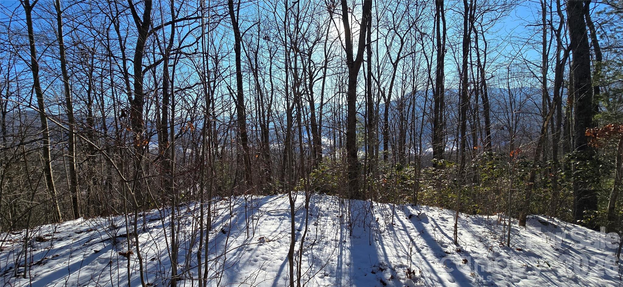 Lot at Lot 11 Bernies Trail, Waynesville, photo 2 of 26