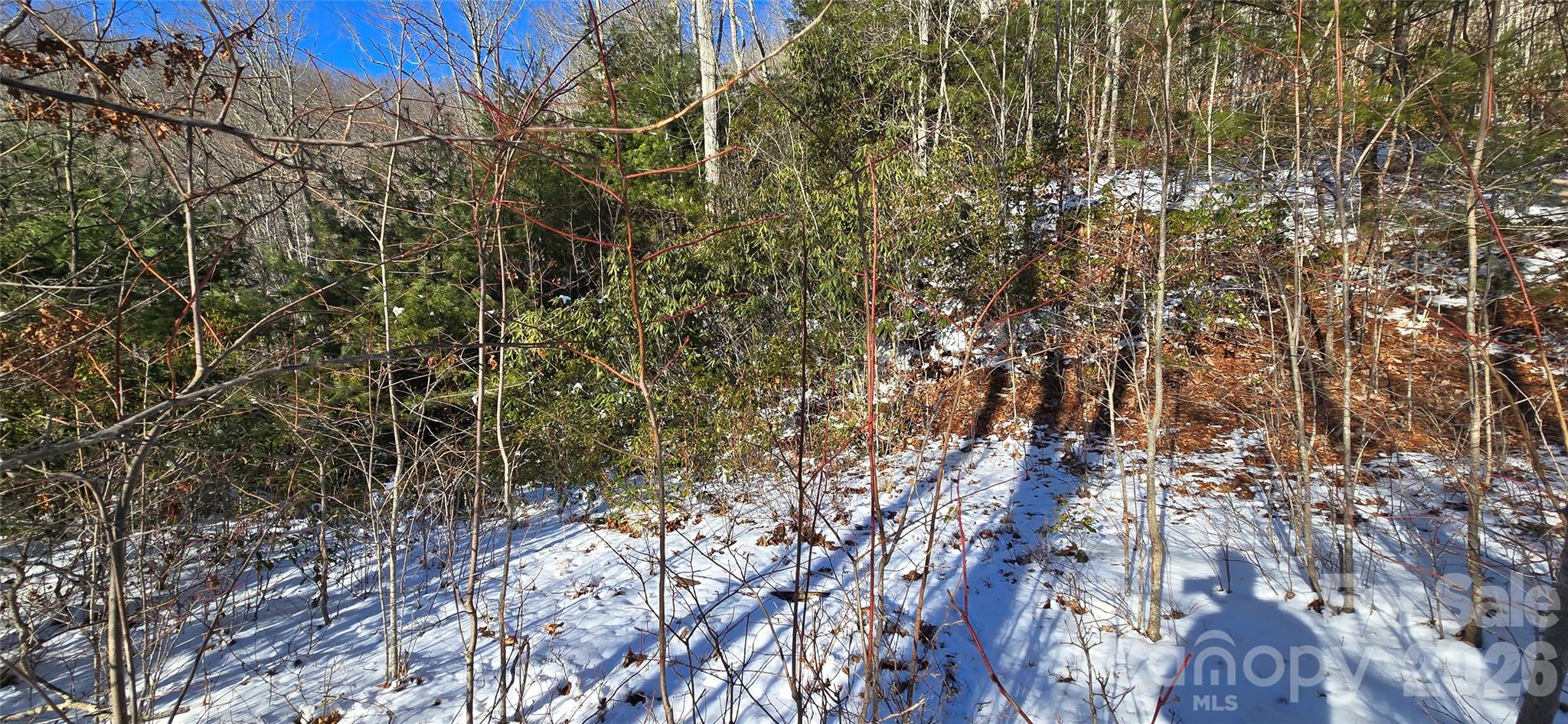 Lot at Lot 11 Bernies Trail, Waynesville, photo 3 of 26
