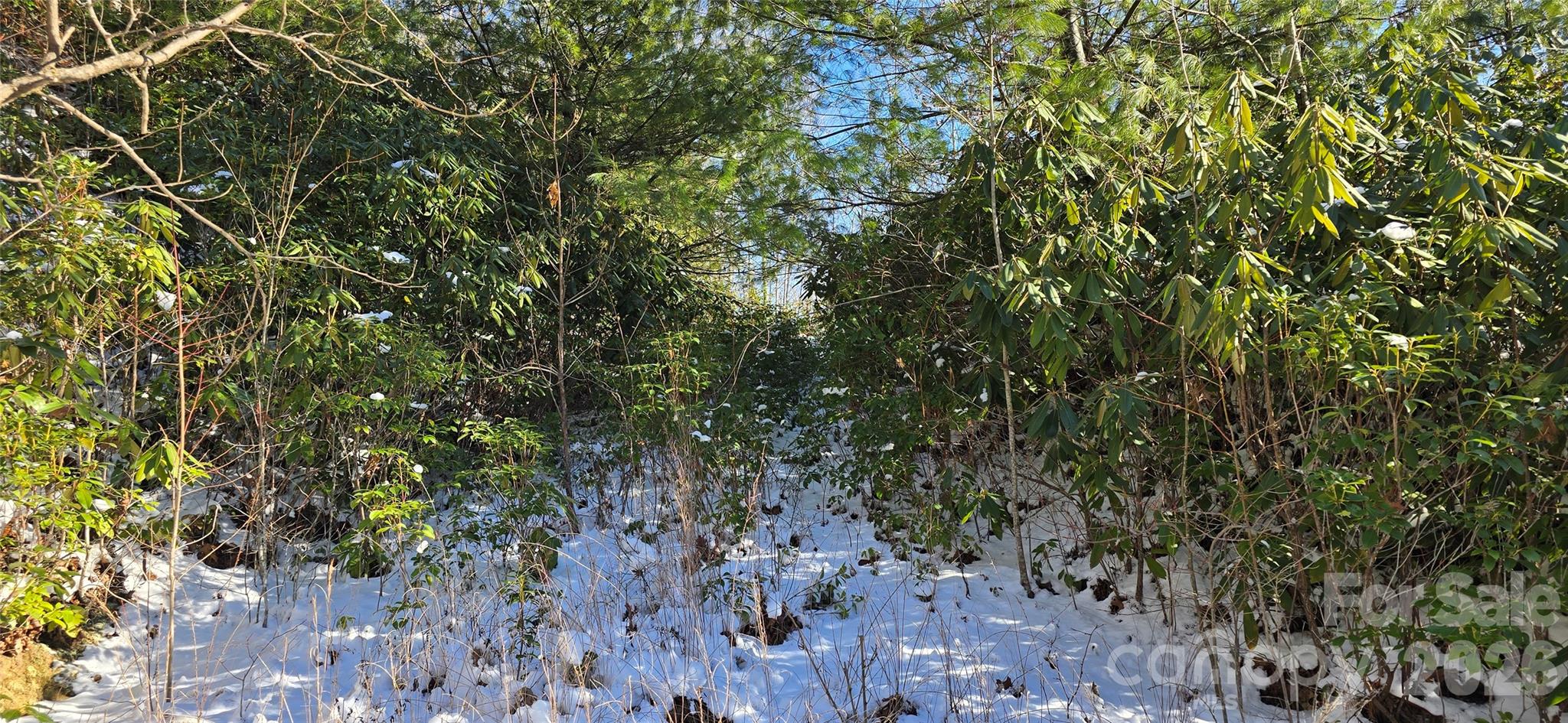 Lot at Lot 11 Bernies Trail, Waynesville, photo 9 of 26
