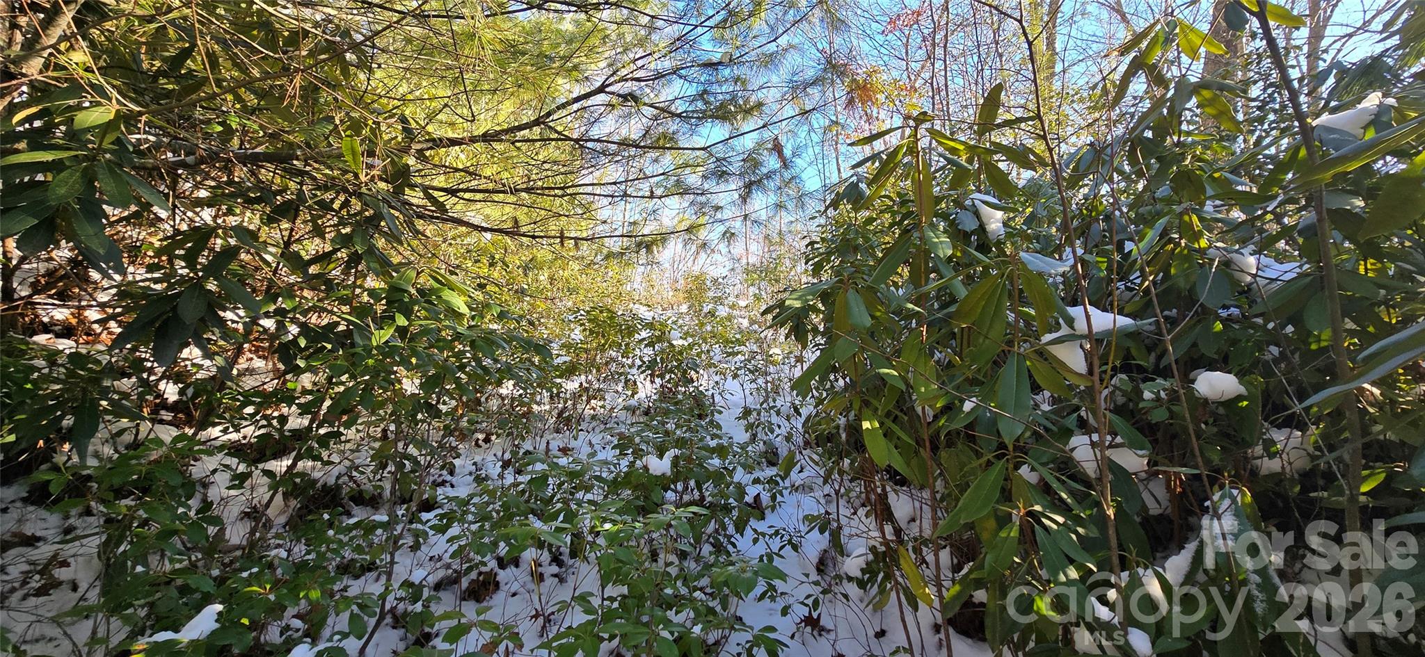 Lot at Lot 11 Bernies Trail, Waynesville, photo 10 of 26