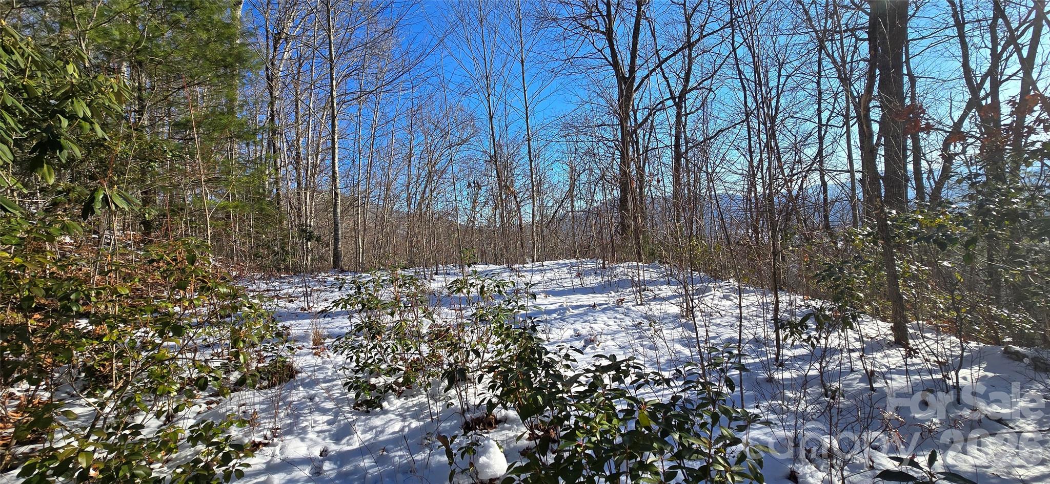 Lot at Lot 11 Bernies Trail, Waynesville, photo 11 of 26