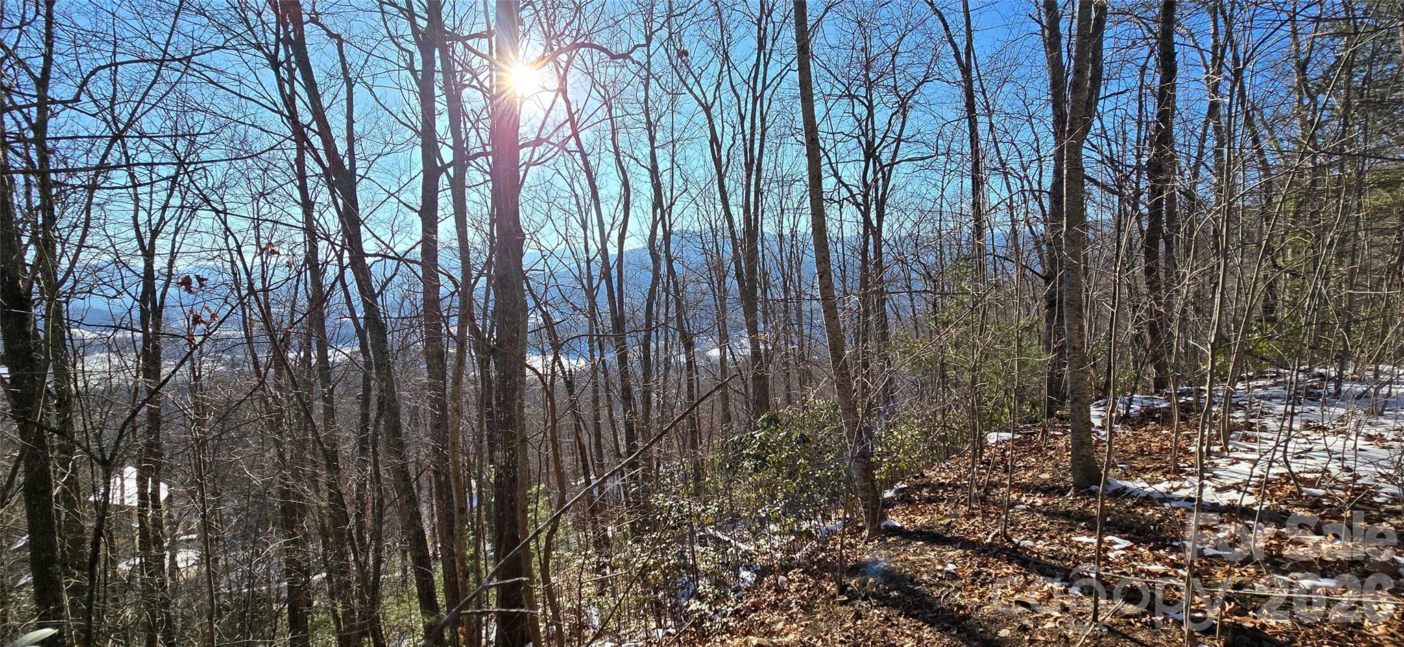 Lot at Lot 11 Bernies Trail, Waynesville, photo 12 of 26