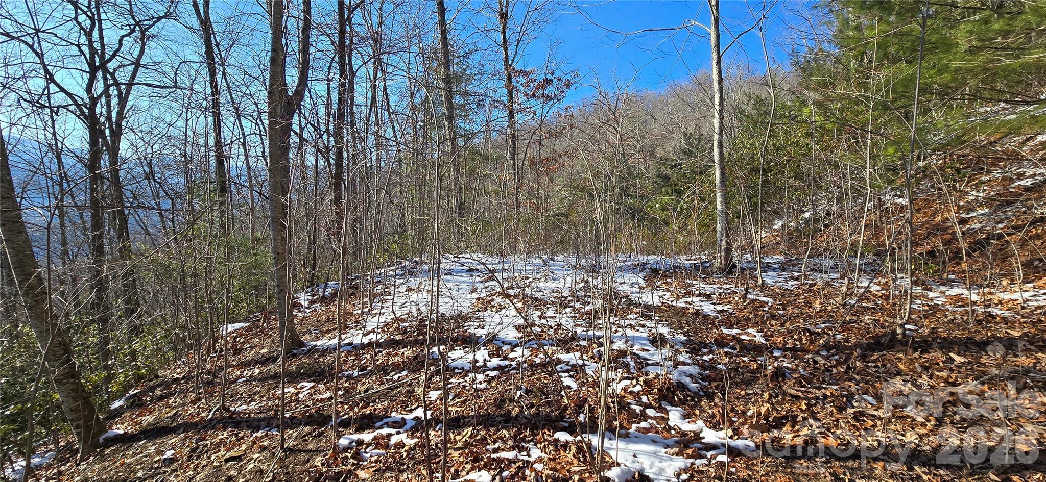 Lot at Lot 11 Bernies Trail, Waynesville, photo 13 of 26