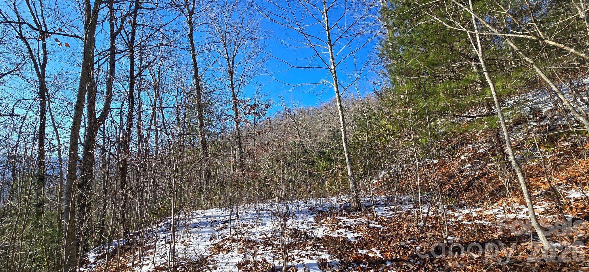 Lot at Lot 11 Bernies Trail, Waynesville, photo 14 of 26