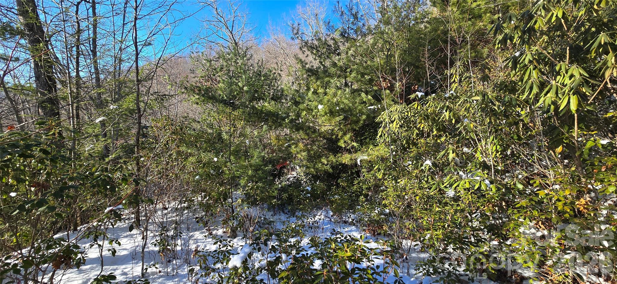 Lot at Lot 11 Bernies Trail, Waynesville, photo 18 of 26