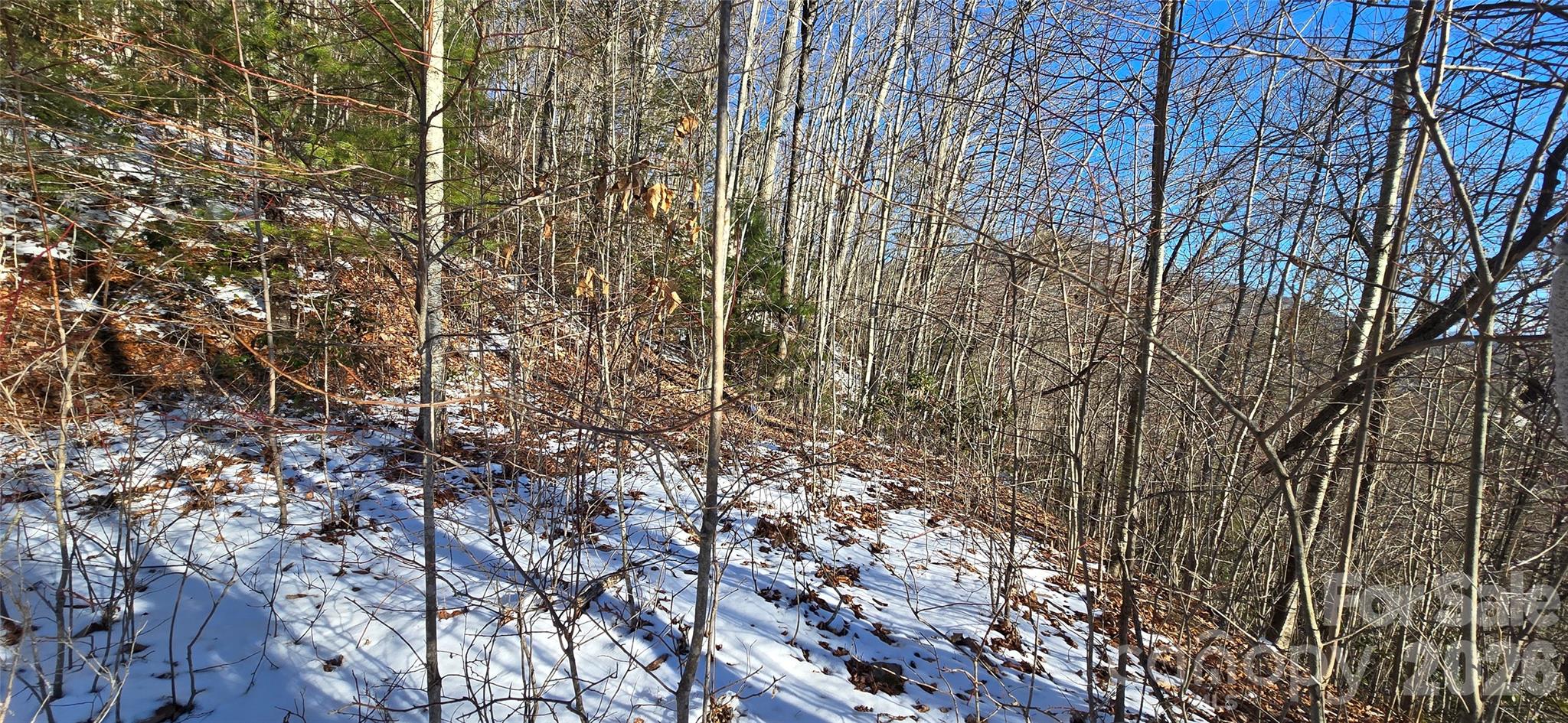 Lot at Lot 11 Bernies Trail, Waynesville, photo 19 of 26