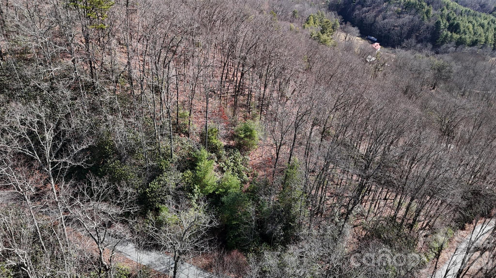 Lot at Lot 11 Bernies Trail, Waynesville, photo 20 of 26