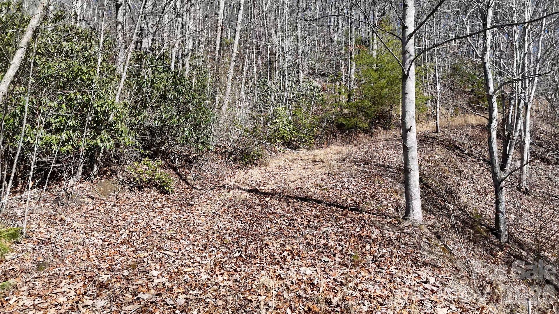 Lot at Lot 11 Bernies Trail, Waynesville, photo 22 of 26