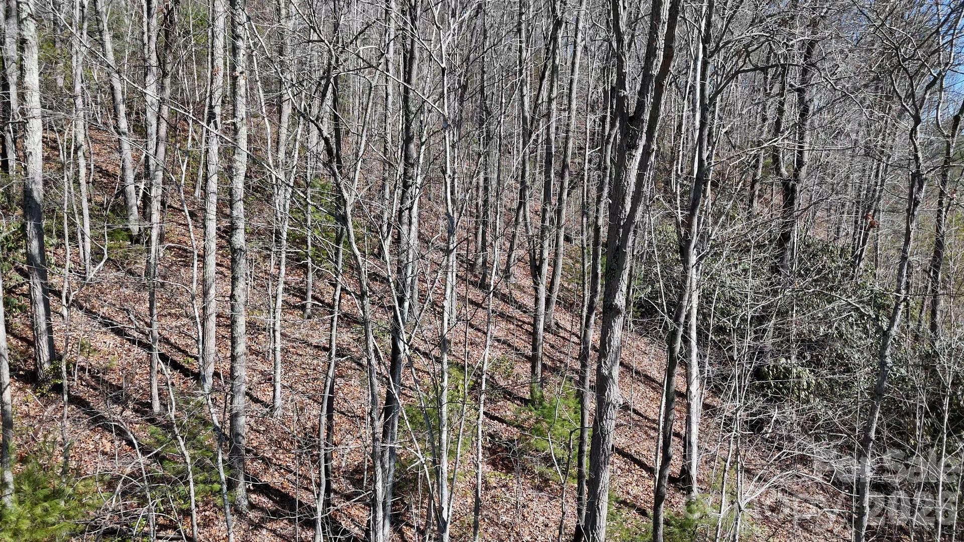 Lot at Lot 11 Bernies Trail, Waynesville, photo 24 of 26