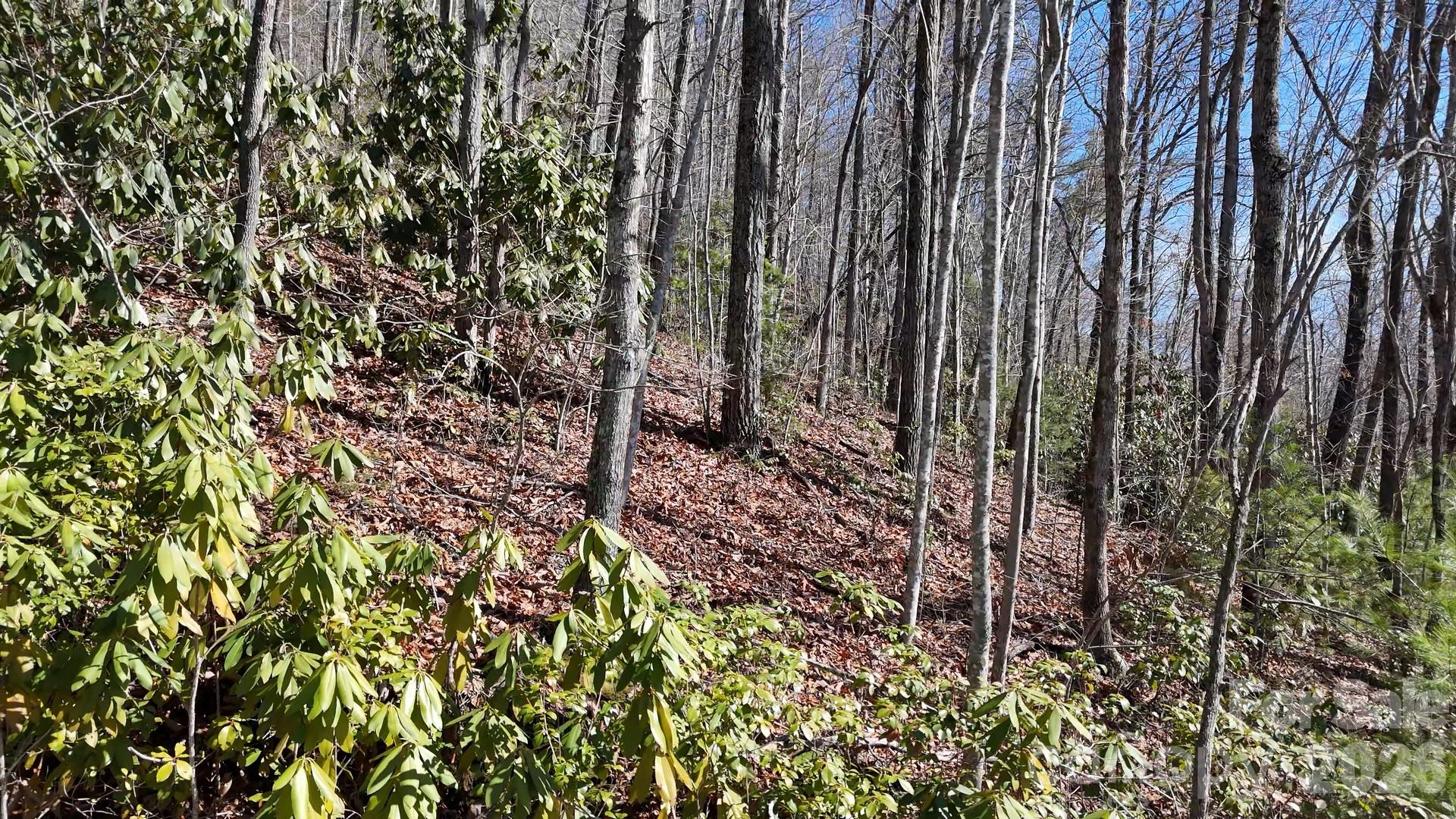 Lot at Lot 11 Bernies Trail, Waynesville, photo 25 of 26